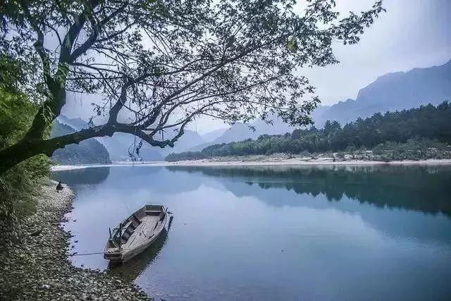 把绿色蓝图变成实景,石岐发出总动员!